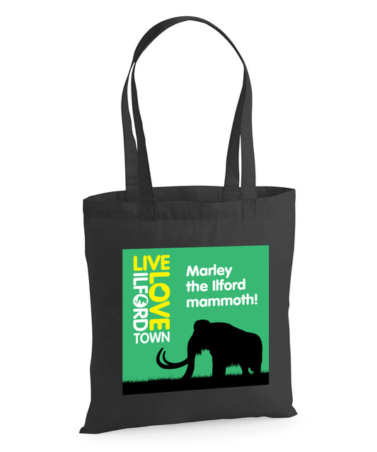 Ilford Mammoth Tote Bag (Green)